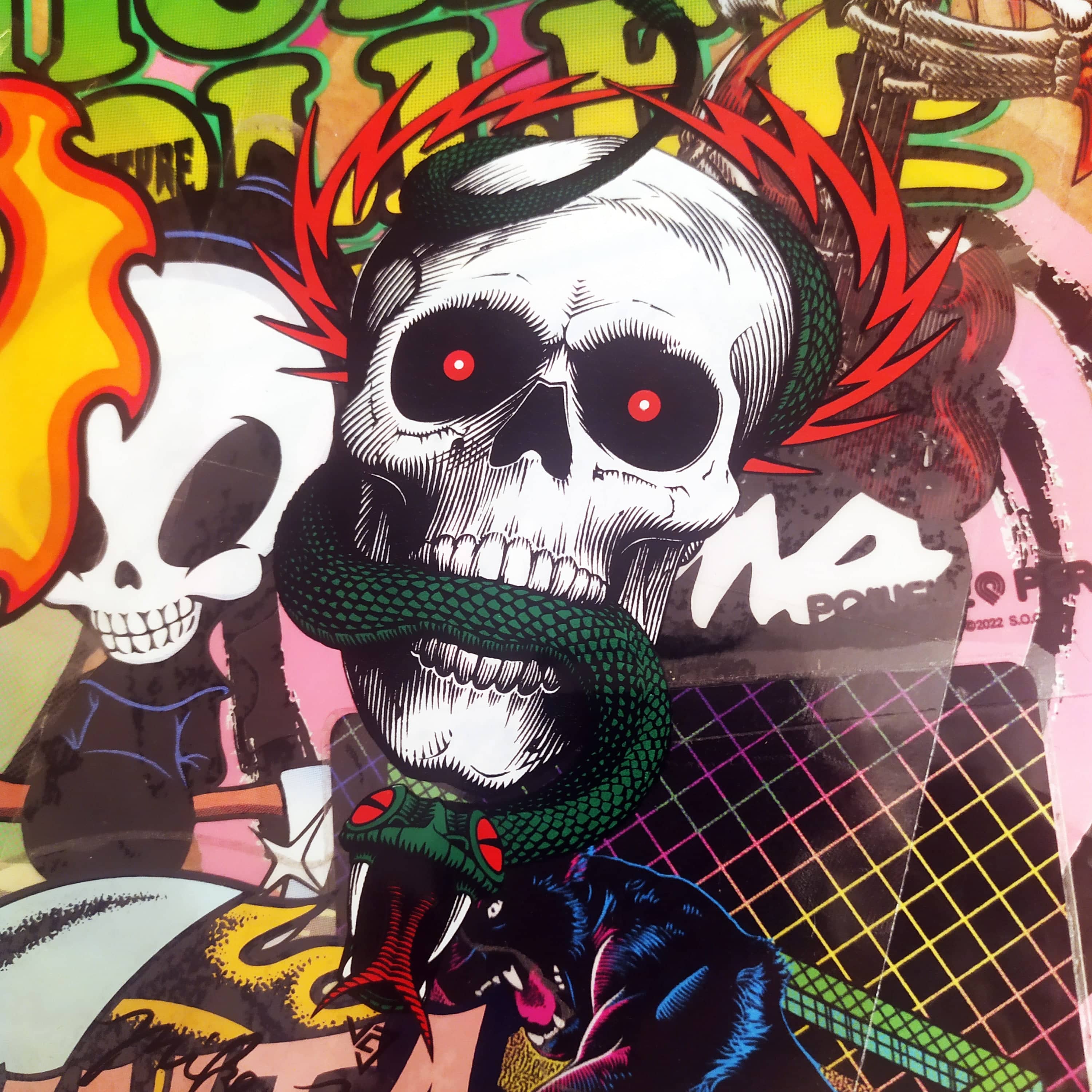 Powell Peralta, Mike McGill "Skull & Snake" Skateboard Sticker. 15cm x 9.5cm approx - SkateboardStickers.com