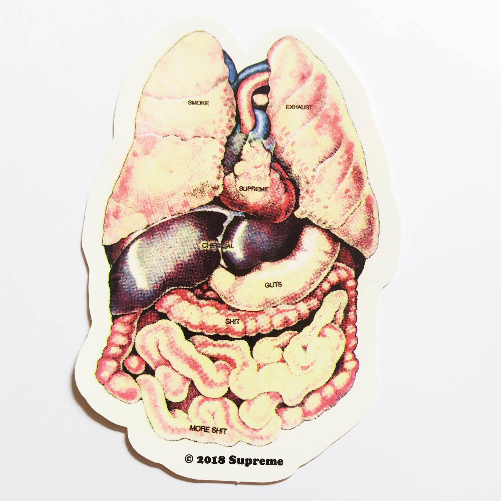 Supreme Skate Sticker - Internals - SkateboardStickers.com