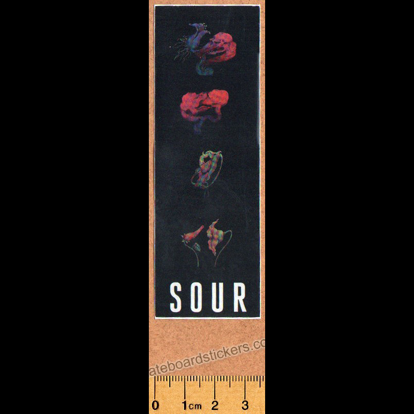 Sour Solution Skateboards Skateboard Sticker - SkateboardStickers.com