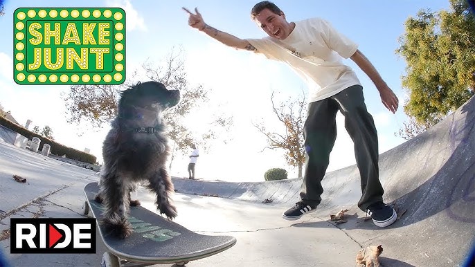 About Beagle - Pro Skateboarder Profile, Biography and History