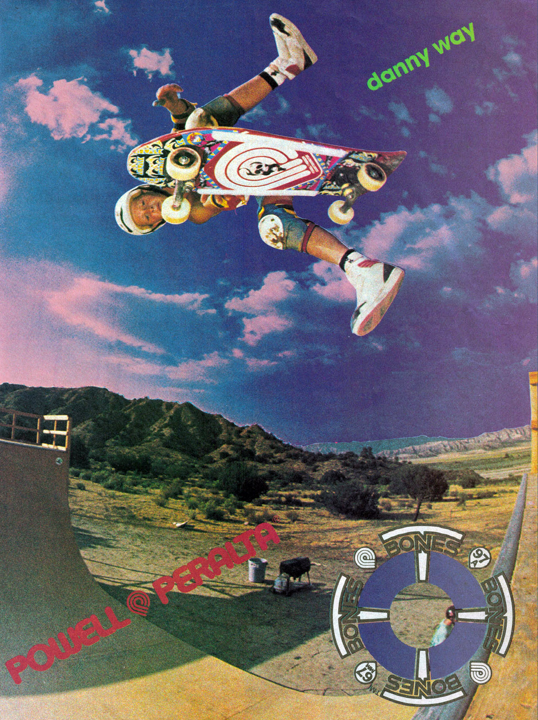 About Danny Way - Pro Skateboarder Profile, Biography and History