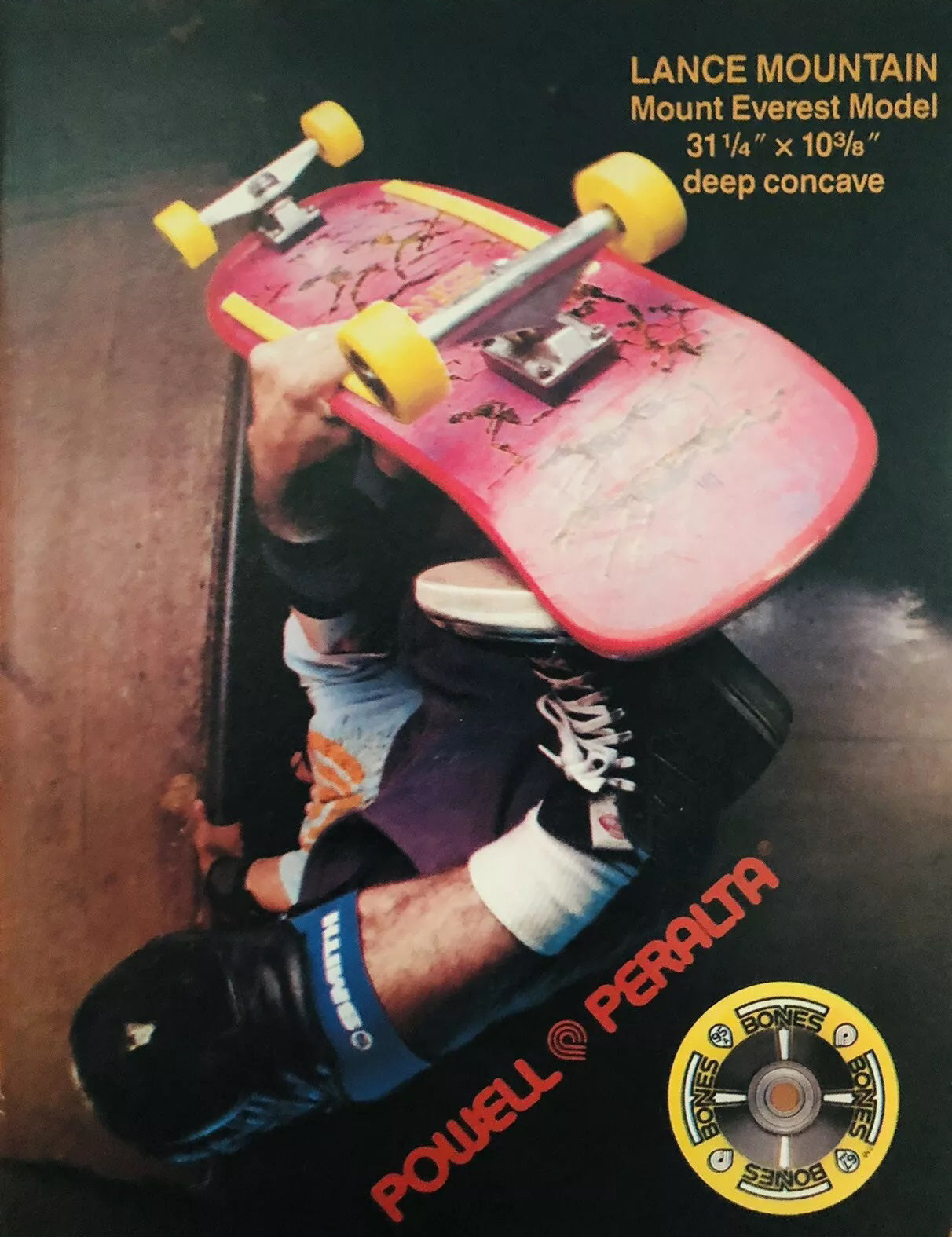 About Lance Mountain - Pro Skateboarder Profile, Biography and History