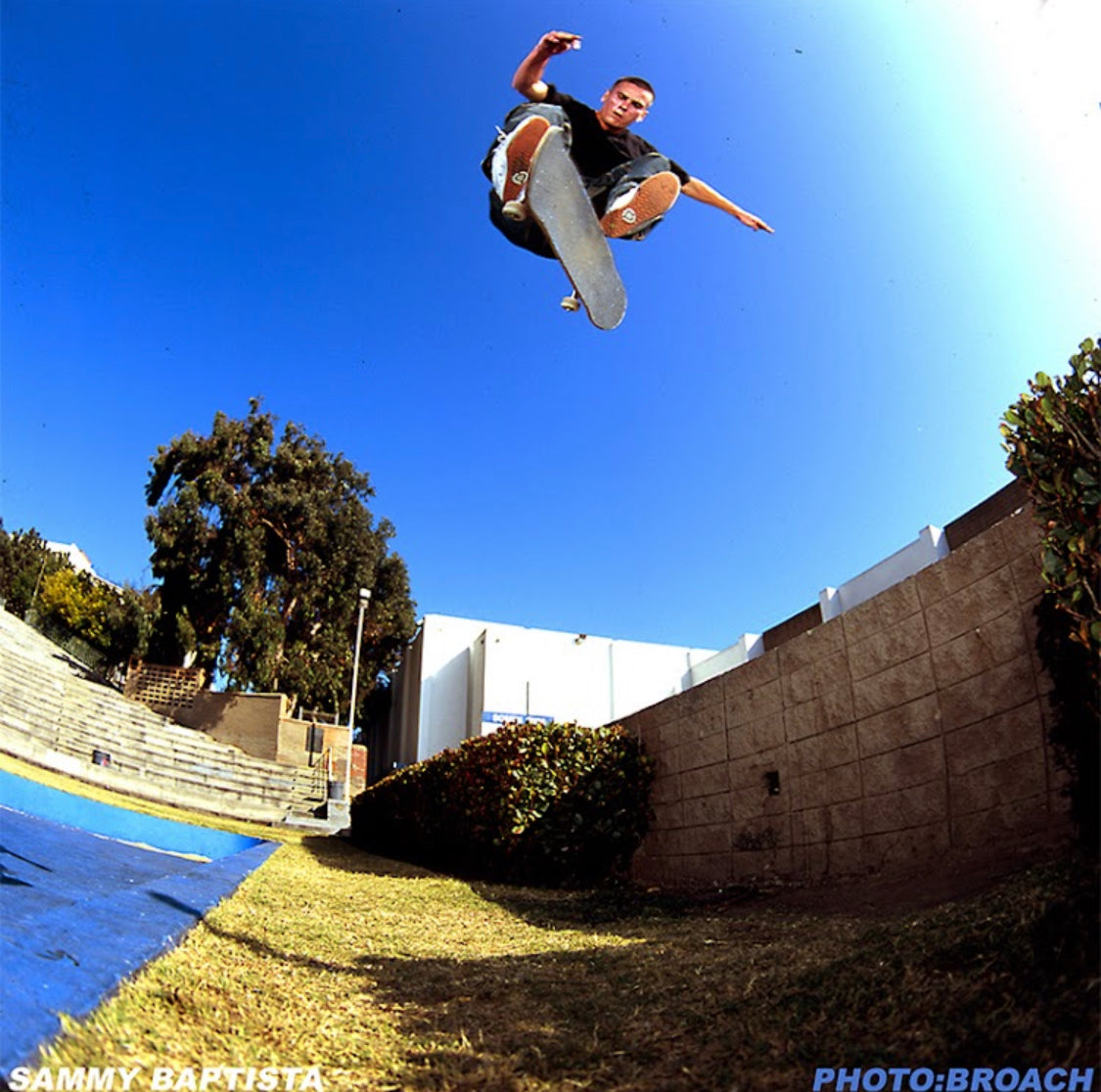 About Sammy Baptista - Pro Skateboarder Profile, Biography and History
