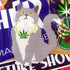 Enjoi Skateboards Stickers - 10 x "Weed Cat" Stickers Pack Bundle SEALED - SkateboardStickers.com