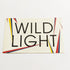 Wild Light - Adult Nights Music Sticker - SkateboardStickers.com