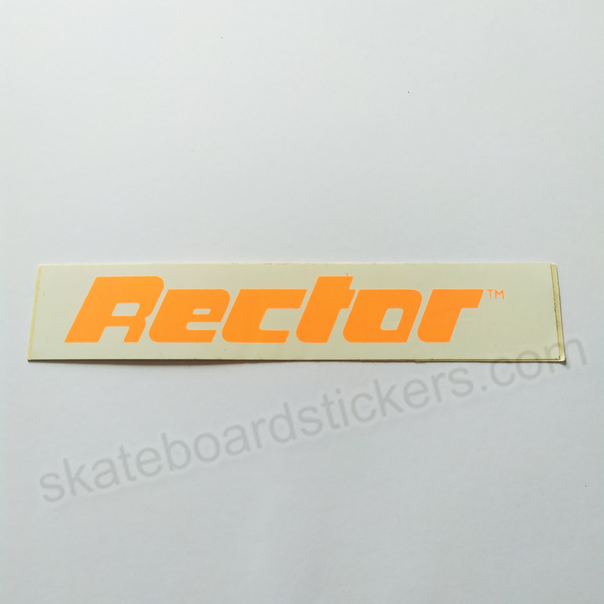 Rector Protection Old School Skateboard Sticker - SkateboardStickers.com