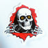 Powell Peralta - Ripper Skate Sticker