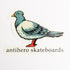 Antihero Skate Sticker - OG Pigeon Large