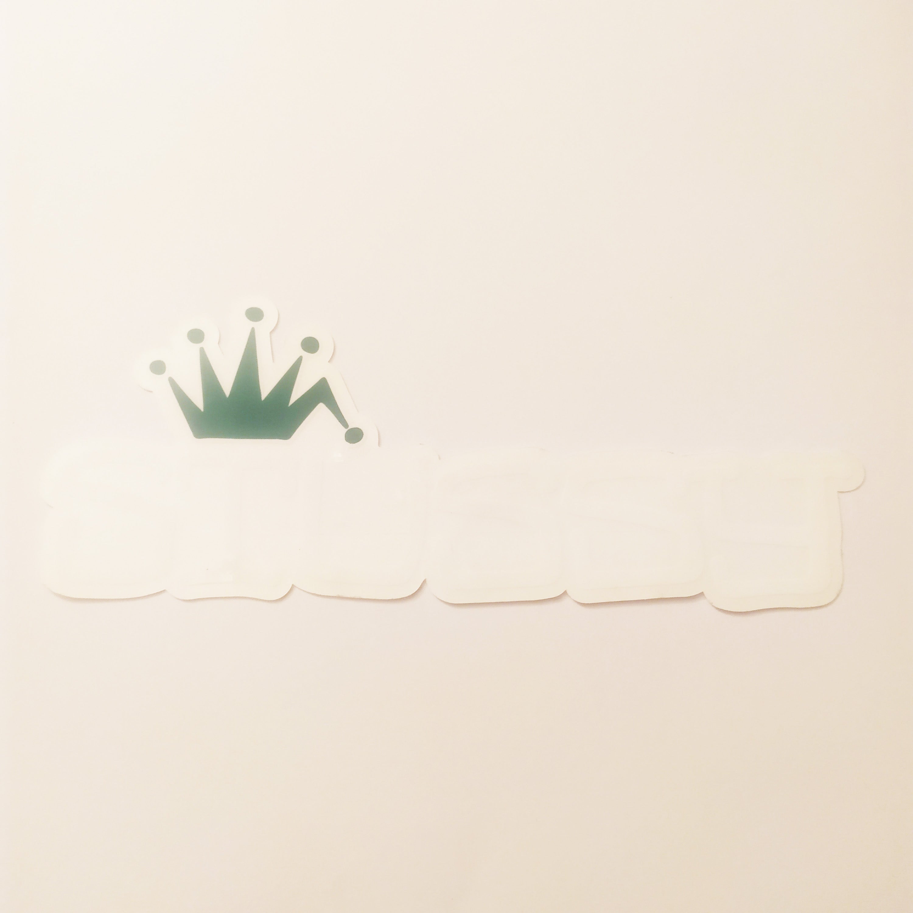 Stussy Clothing Skate Sticker