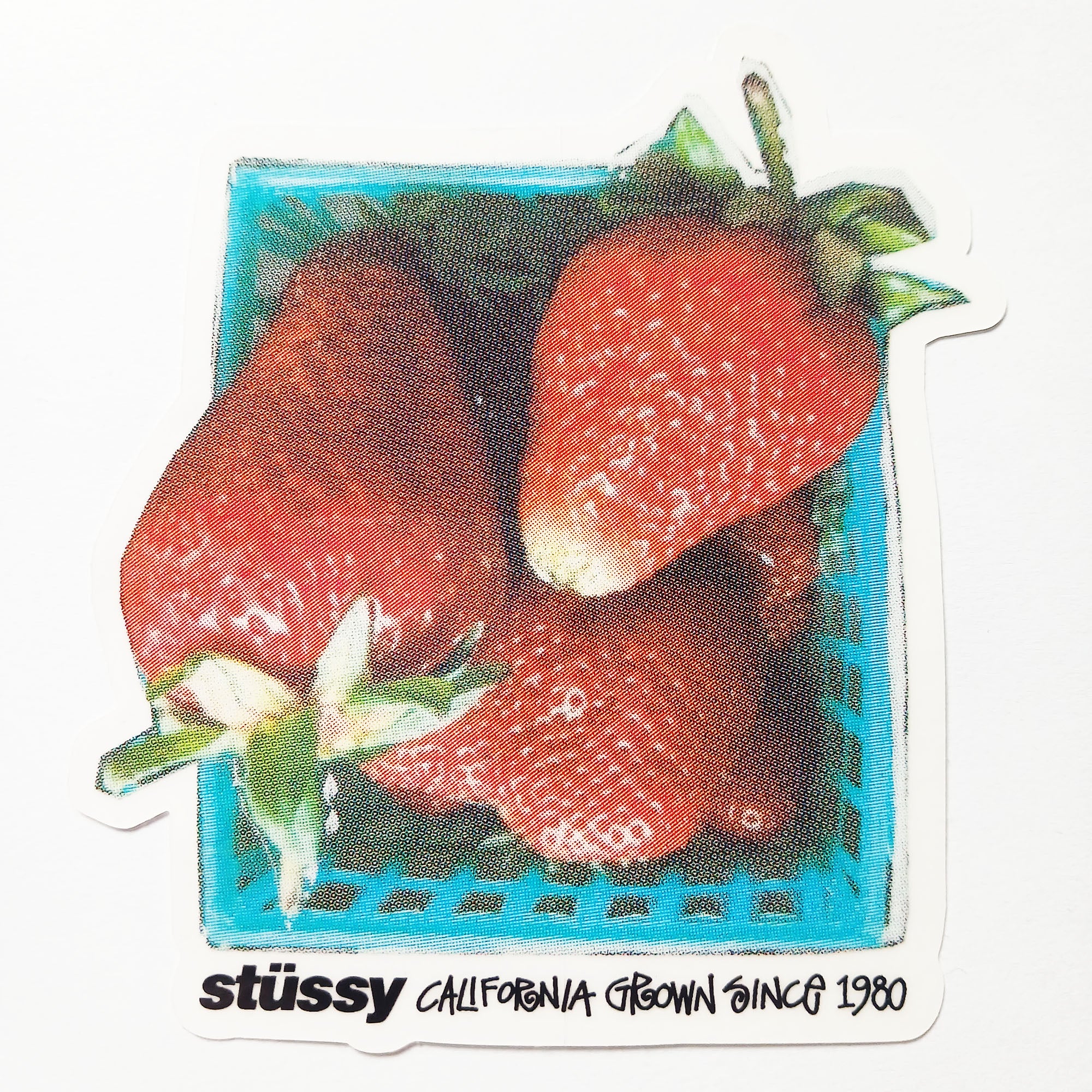 Stussy Skateboard Sticker