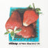 Stussy Skateboard Sticker