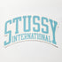 Stussy Skate Sticker