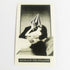 Volcom Stone Skateboard Sticker (20+ years old)