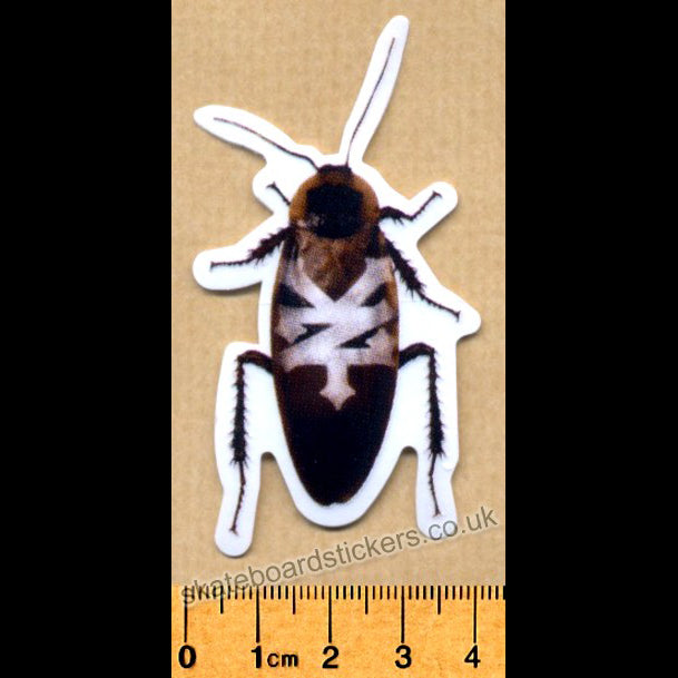 Sticker Roach Zoo York Cockroach Skateboard Sticker - 7.5cm high approx ...