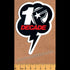 Famous Stars and Straps Skateboard Sticker - SkateboardStickers.com