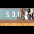 Sour Solution Skateboards Skateboard Sticker - Wolf Cash